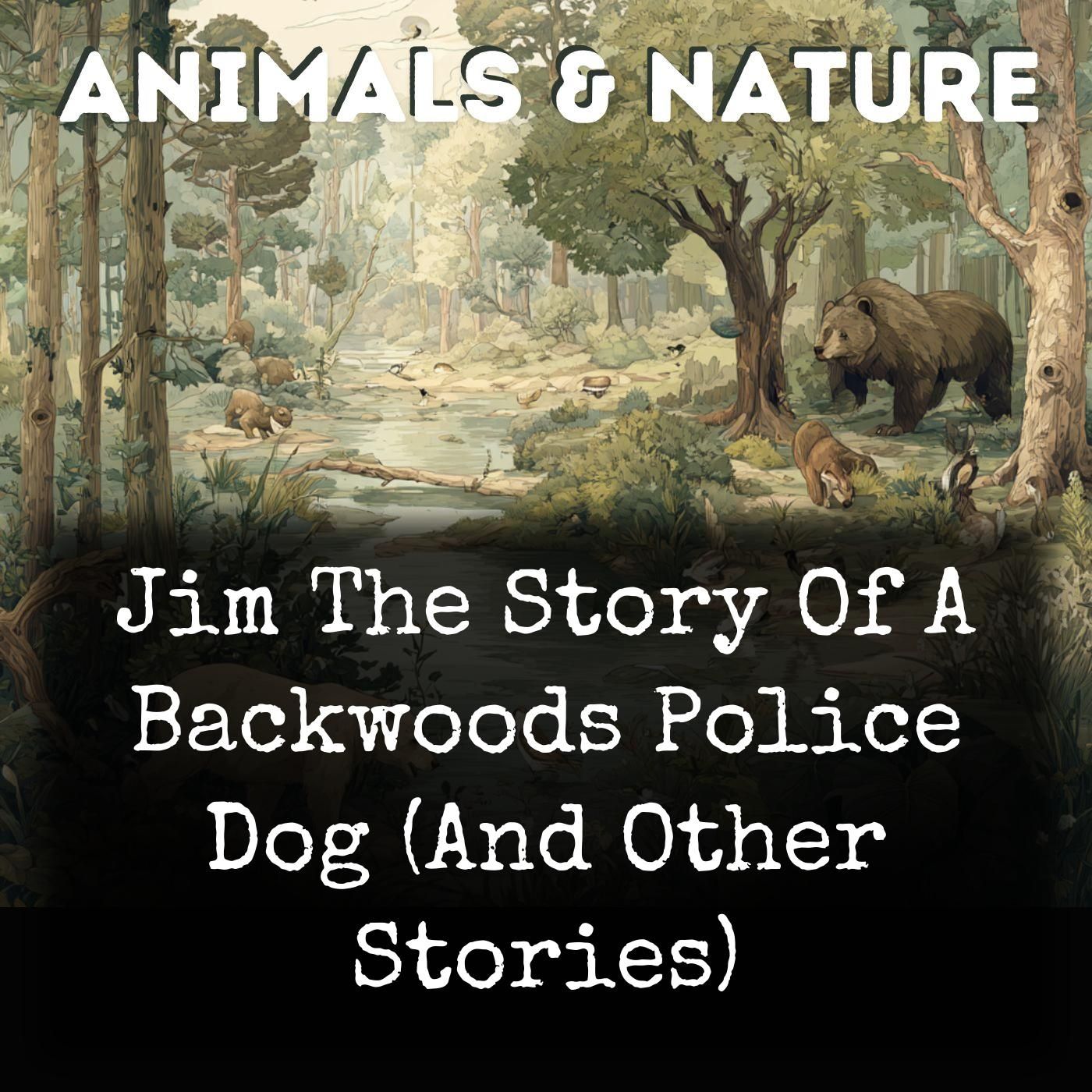 Jim The Story Of A Backwoods Police Dog (And Other Stories) cover art