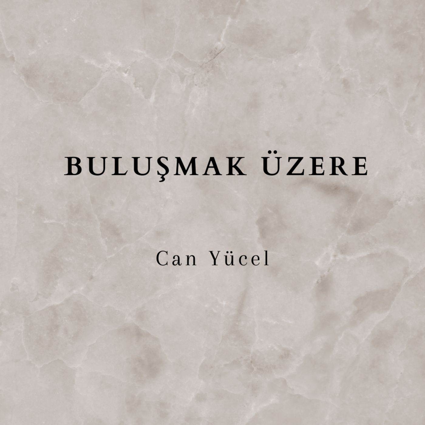 Şiirler Ve Kitaplar