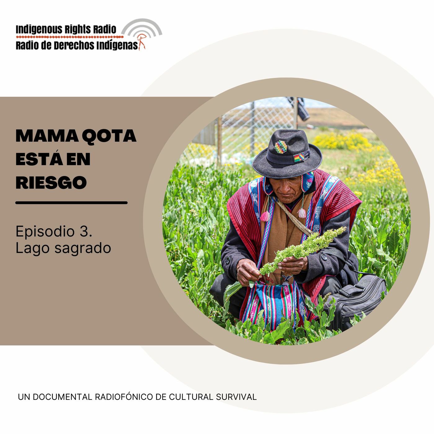 Indigenous Rights Radio