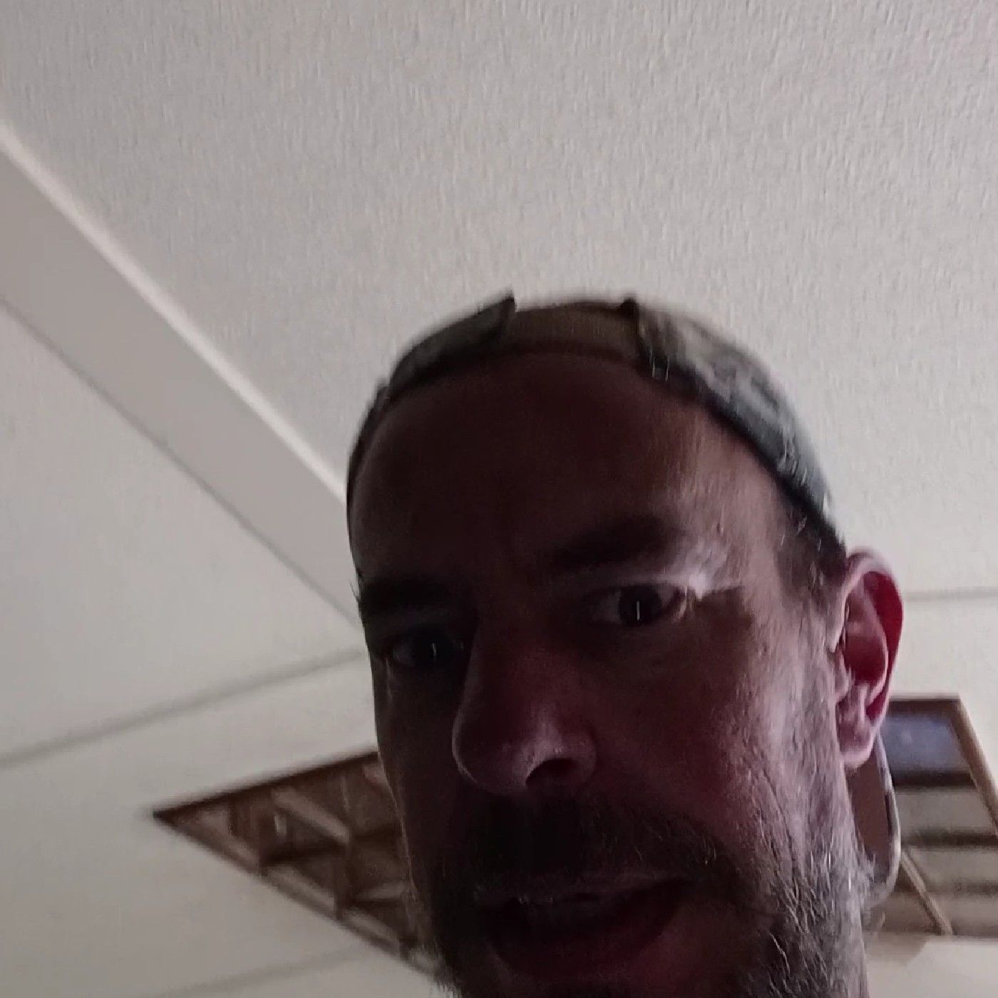 Constitution Enforcer