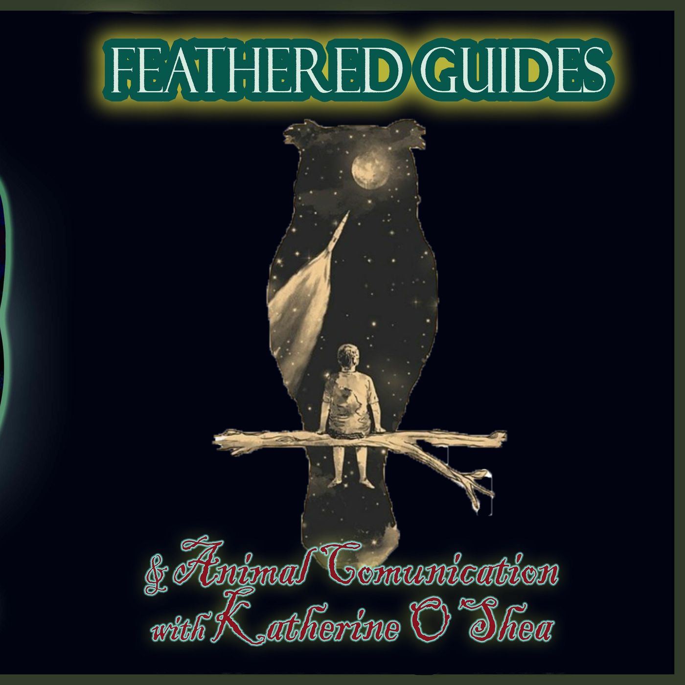Feathered Guides & Animal Communication with Katherine O'Shea