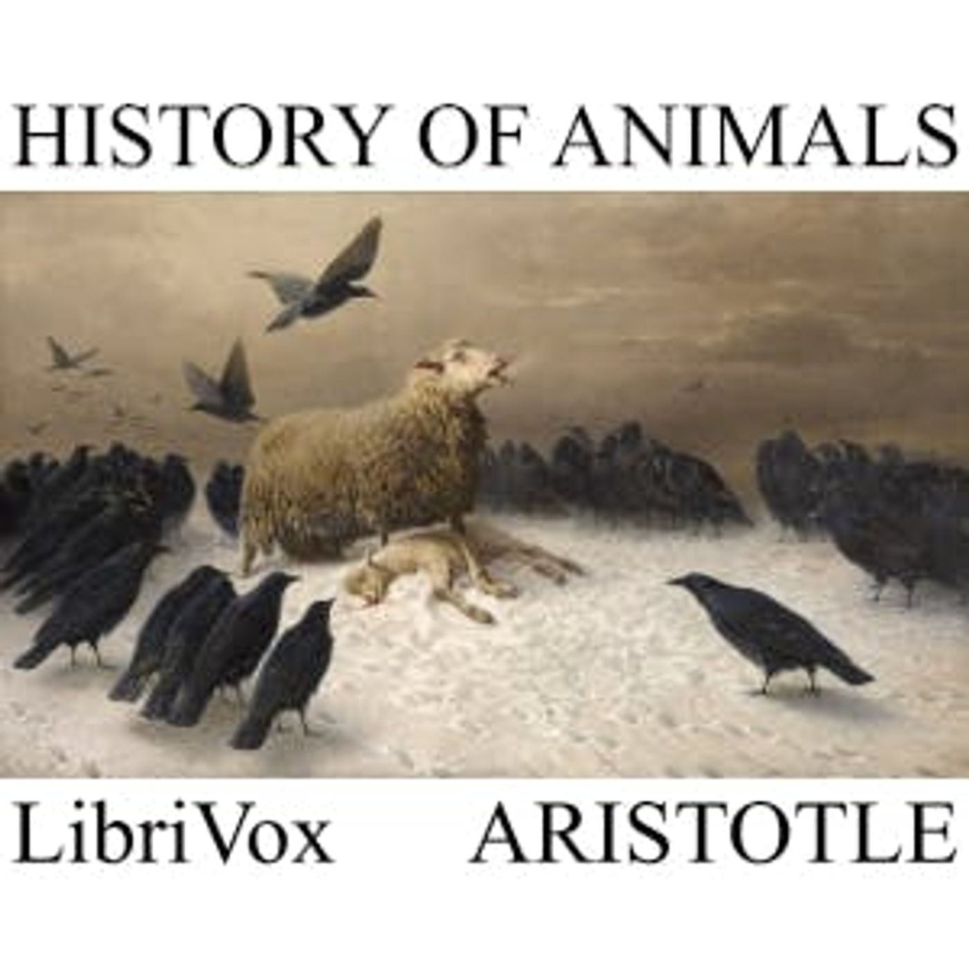History of Animals by Aristotle | Full Audiobook | Audiobook Time episode artwork