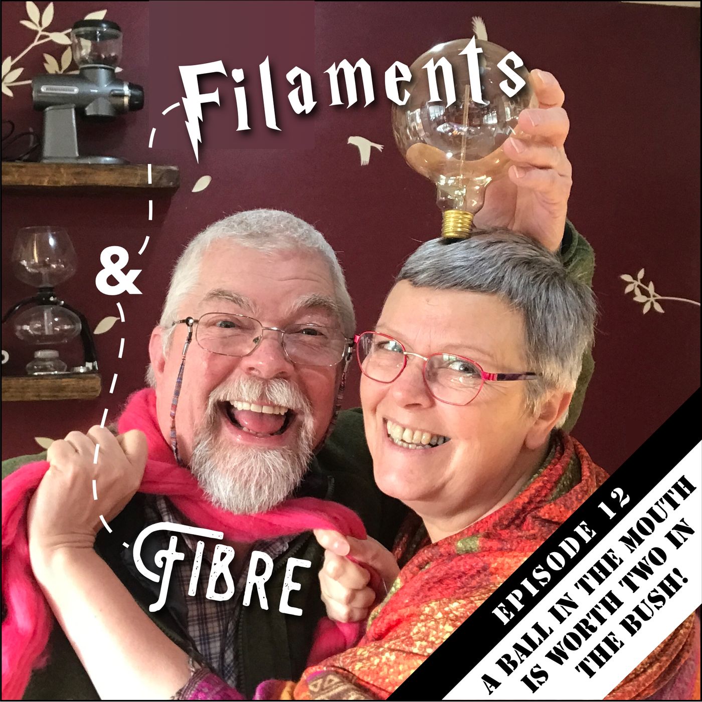 Episode 12—Filaments & Fibre—'A ball in the mouth is worth two in the bush!' episode artwork