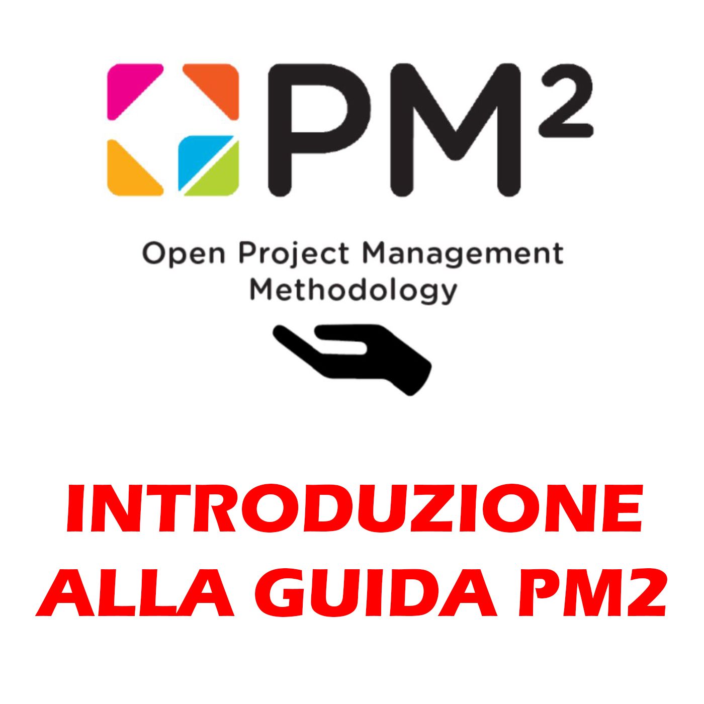 Gestire un progetto... tra arte e professione