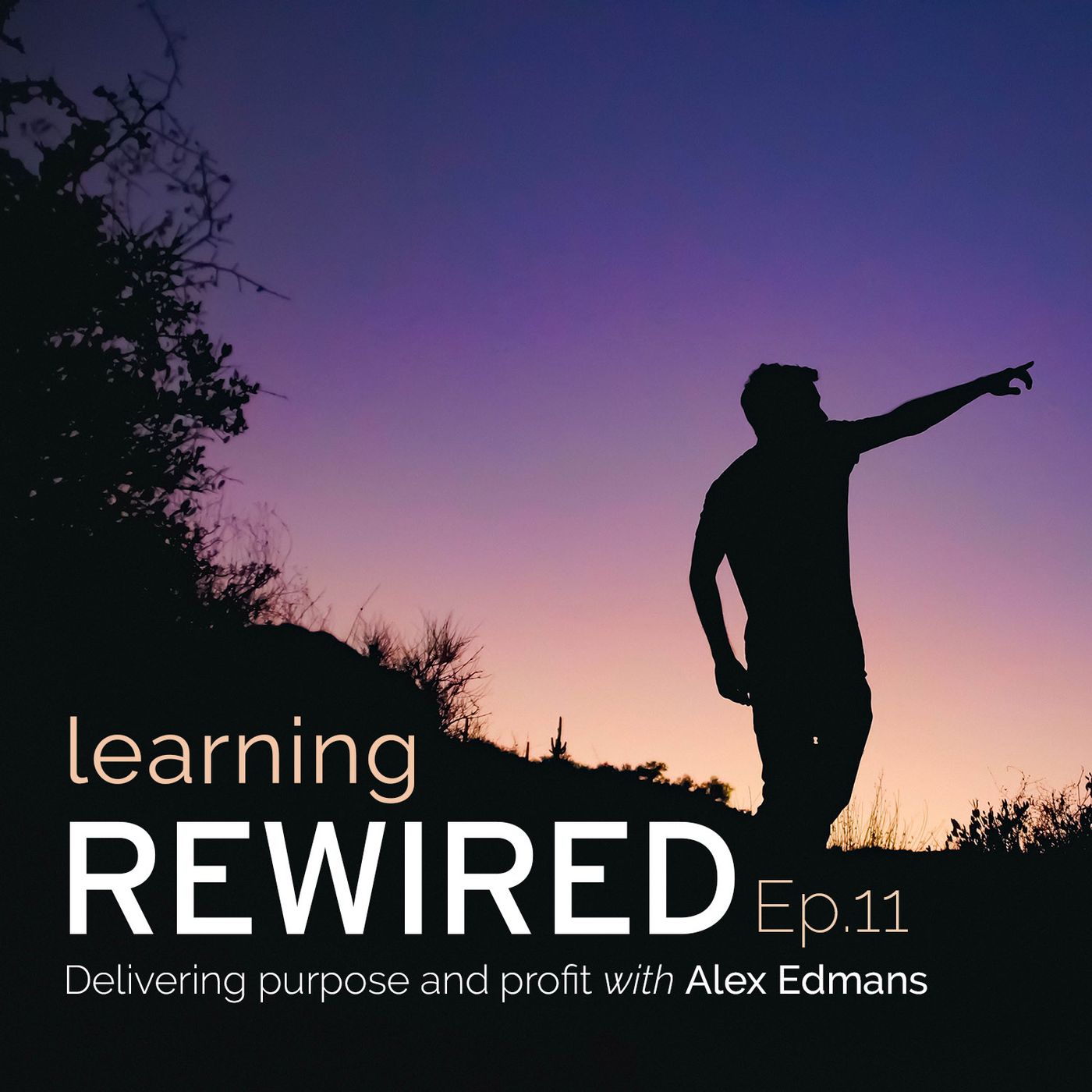 Executive Learning REWIRED