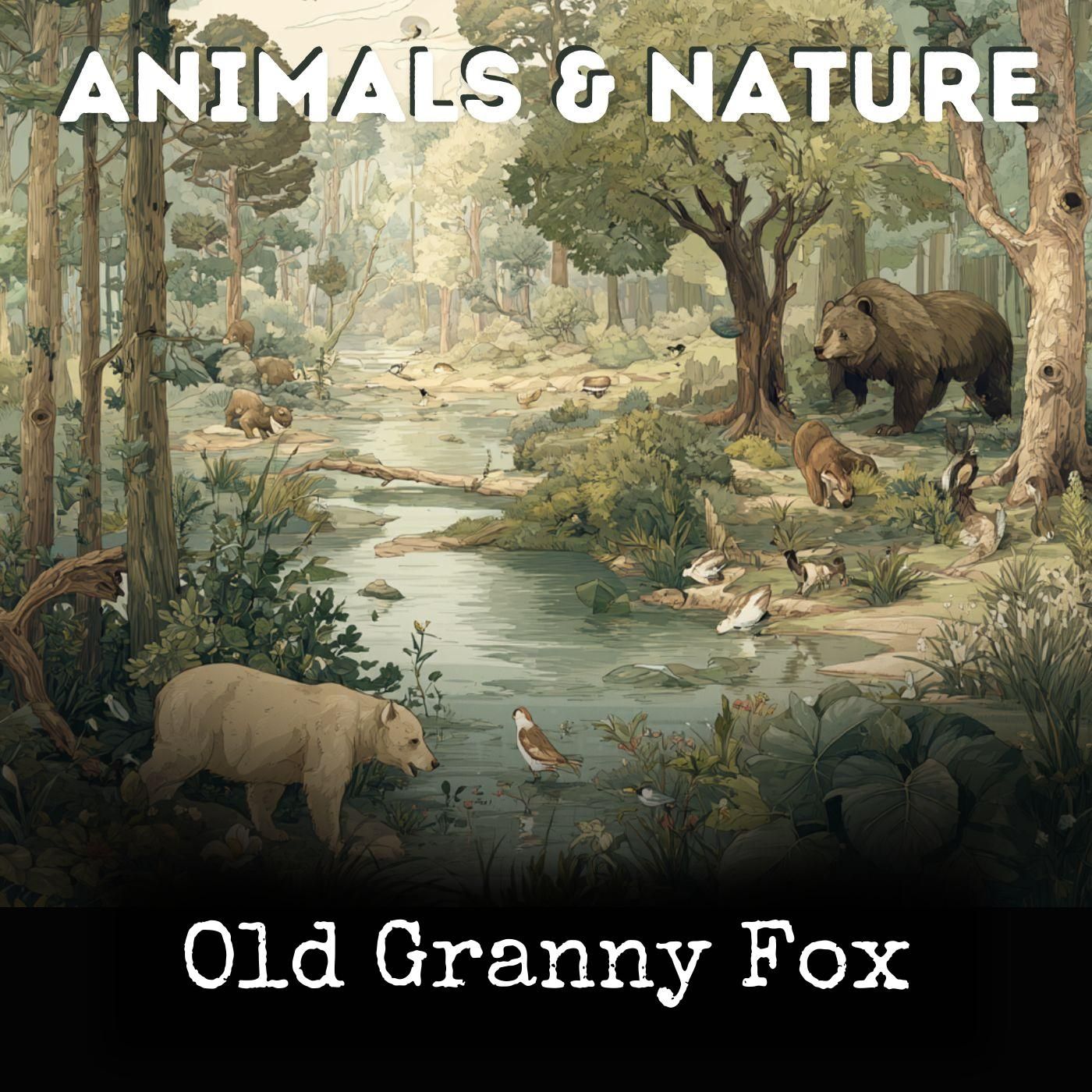 Old Granny Fox cover art