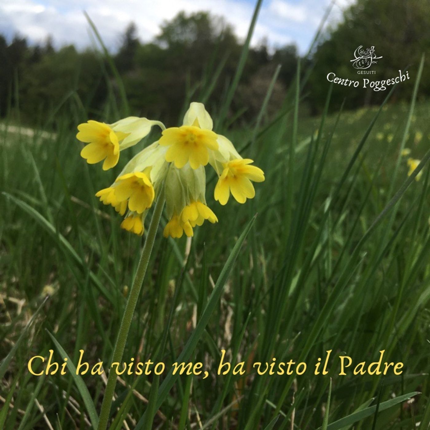 Passo dopo Passo