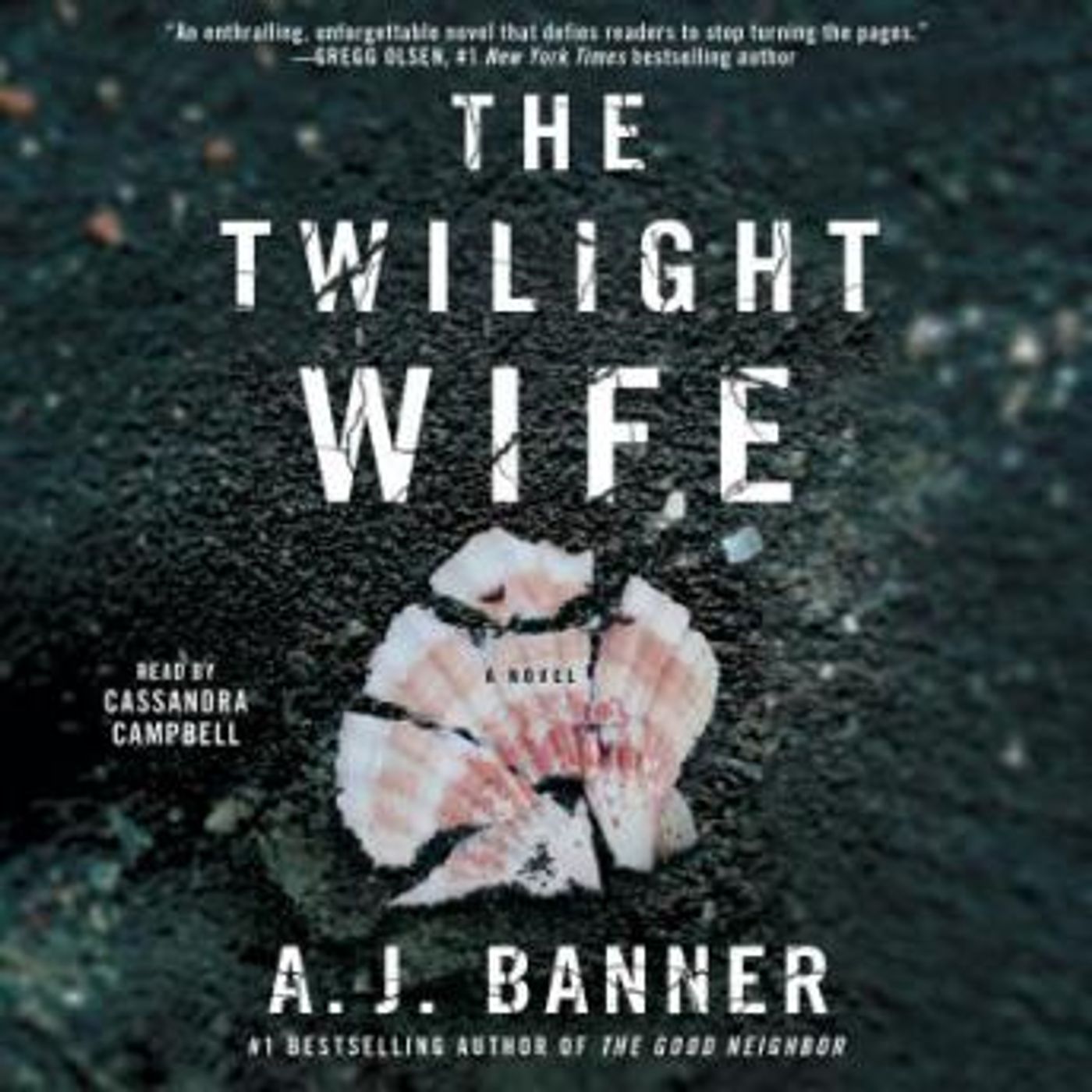 Access Must-Have Full Audiobooks in Fiction, Contemporary Women