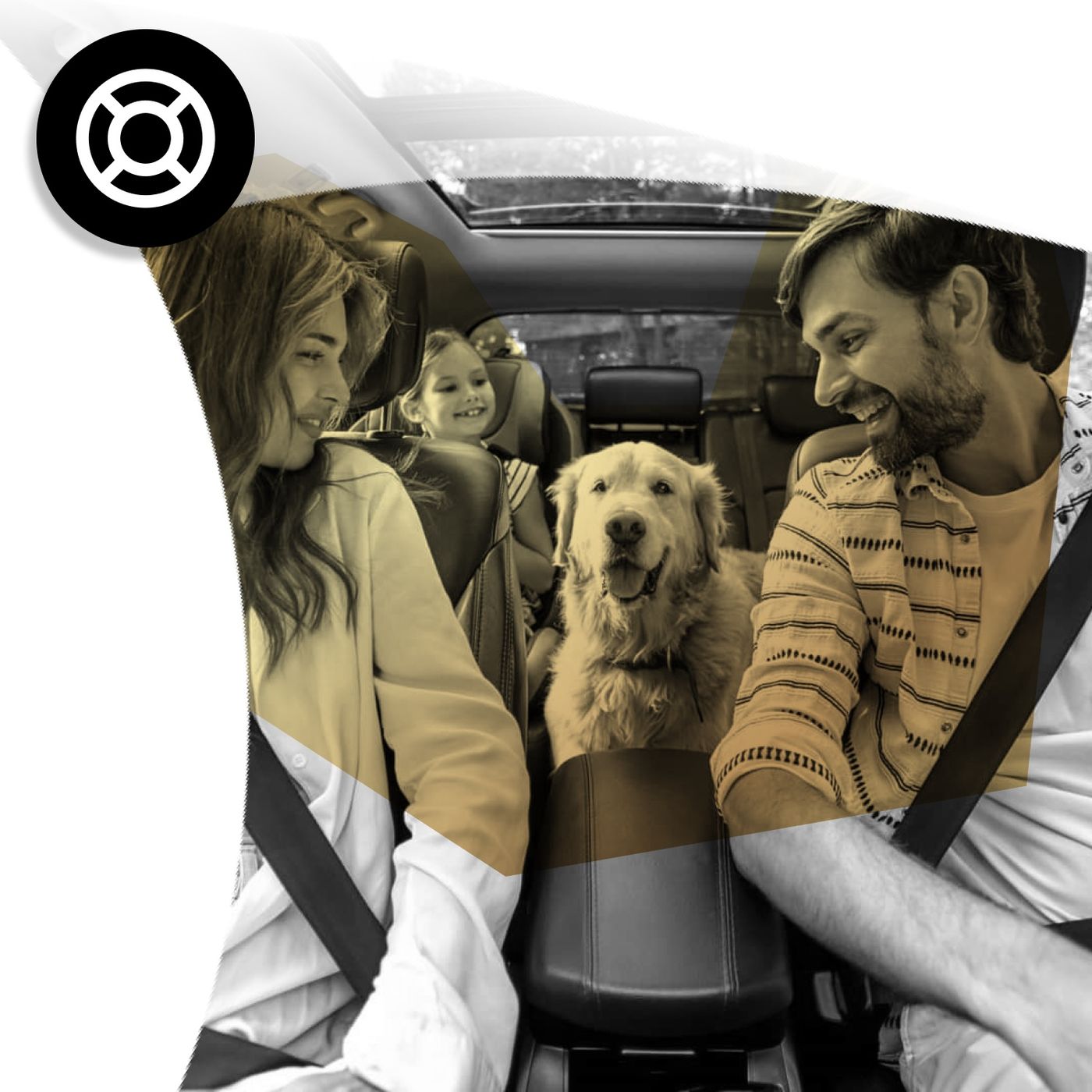 Seguros de coche baratos: ¿cómo encontrarlos? #472