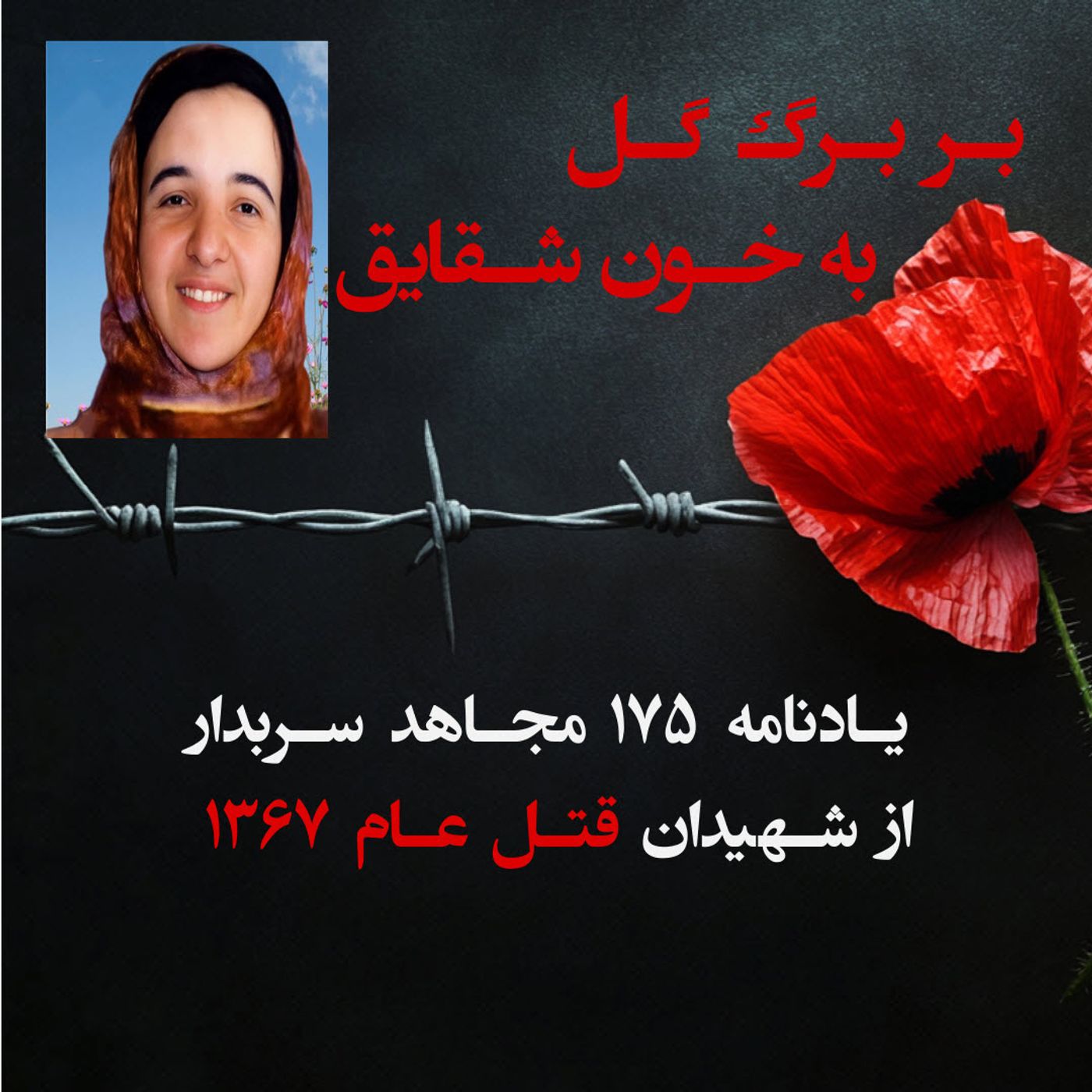 بربرگ گل به خون شقایق- اشرف معزی