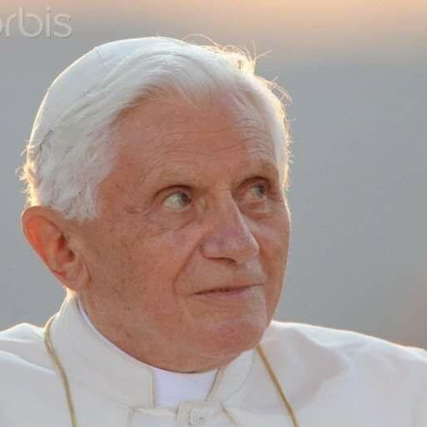 Papa Benedetto 16/SER Gänswein