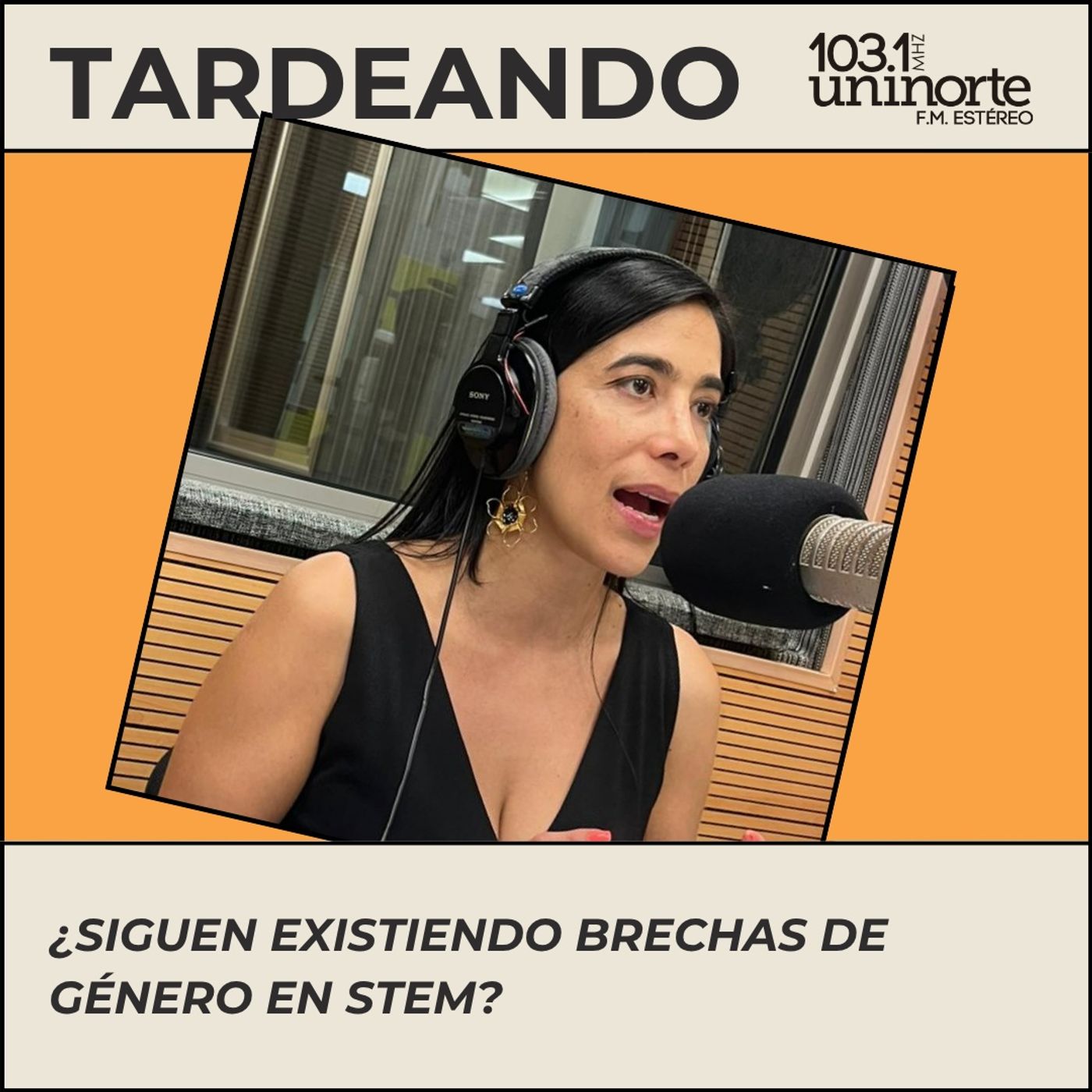 La Pizarra :: Brechas de género en STEM: ¿siguen existiendo? episode artwork