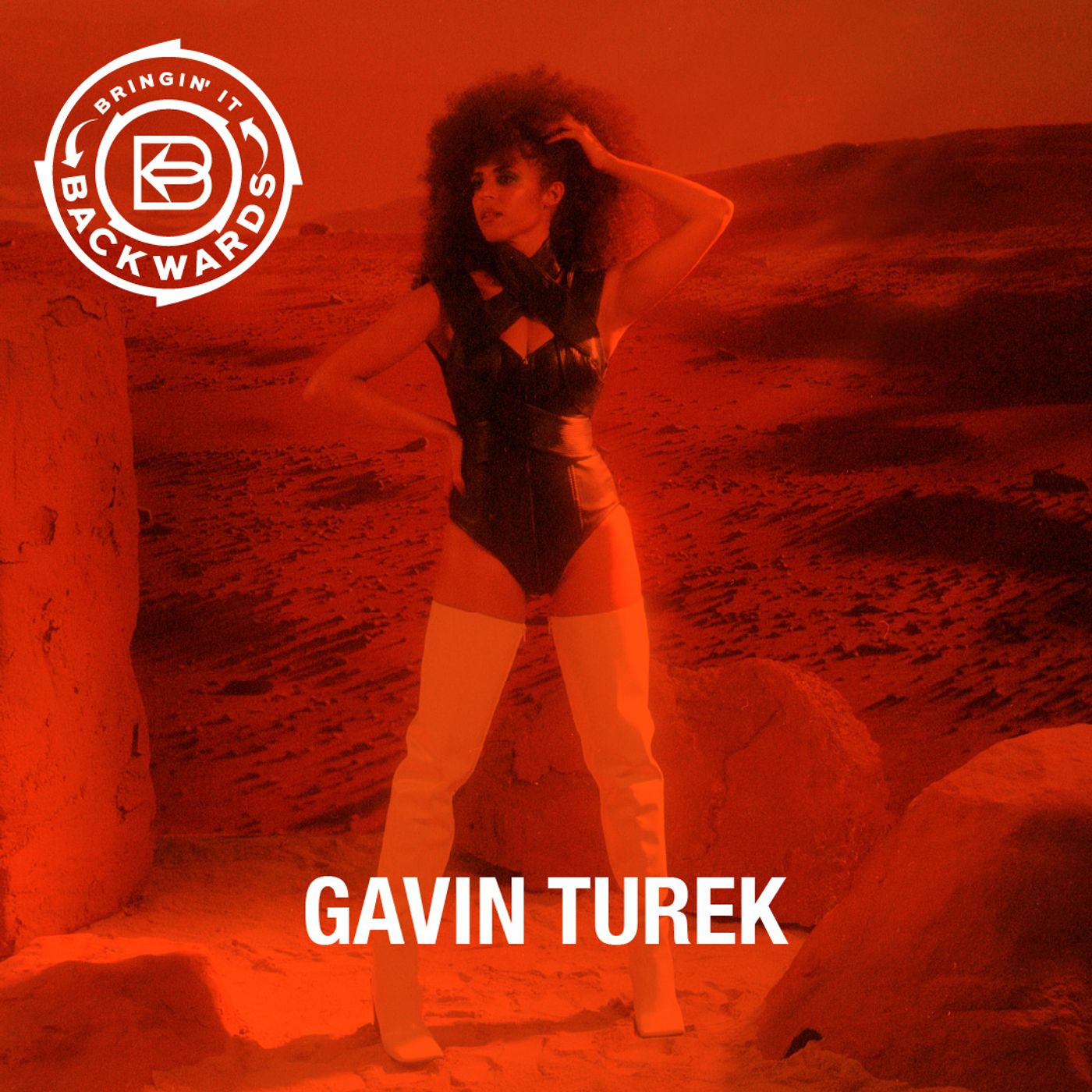 Interview with Gavin Turek