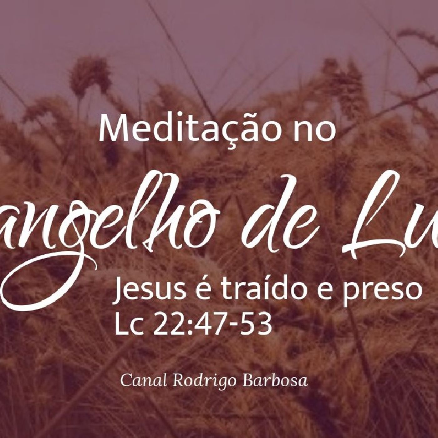Rodrigo Barbosa