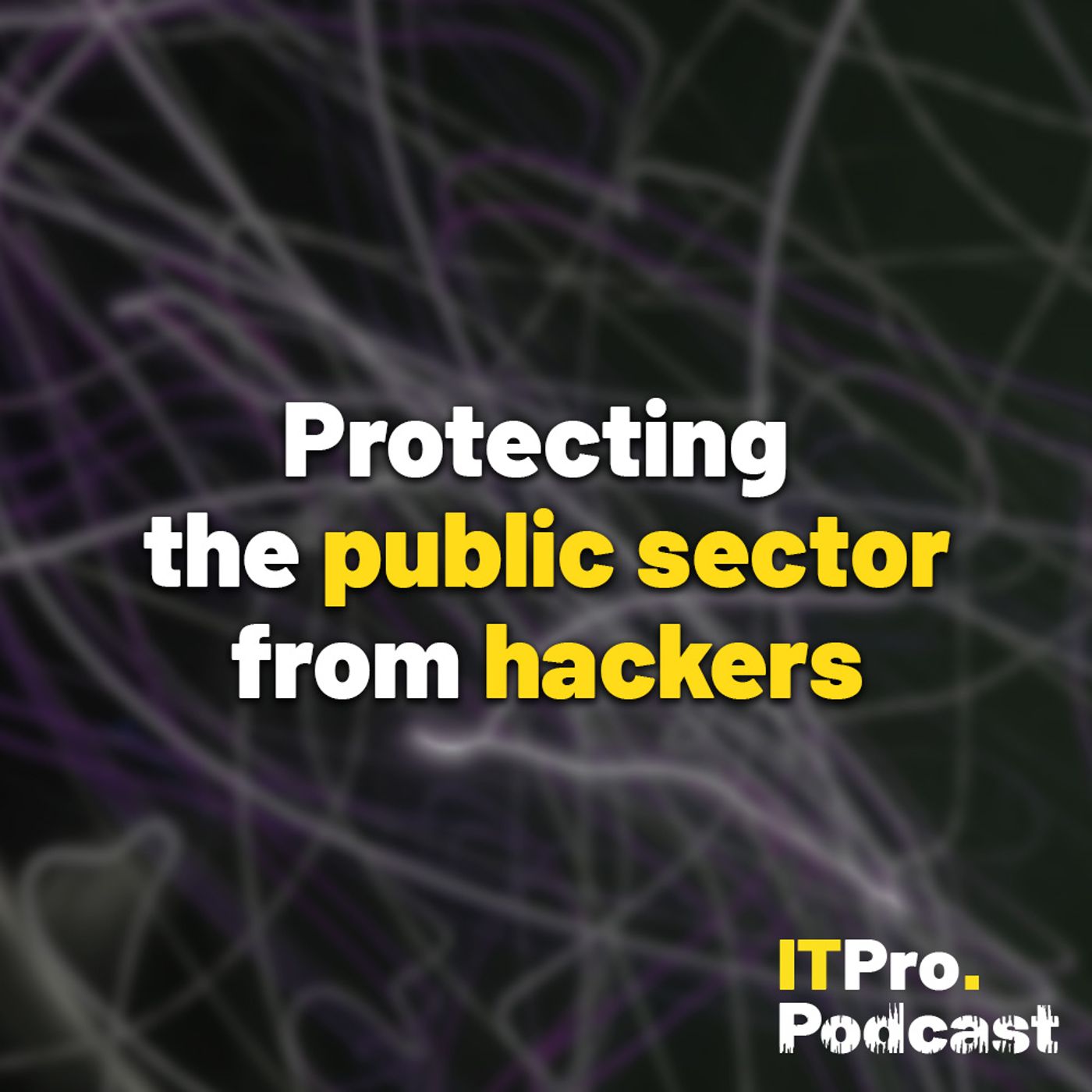 Protecting the public sector from hackers