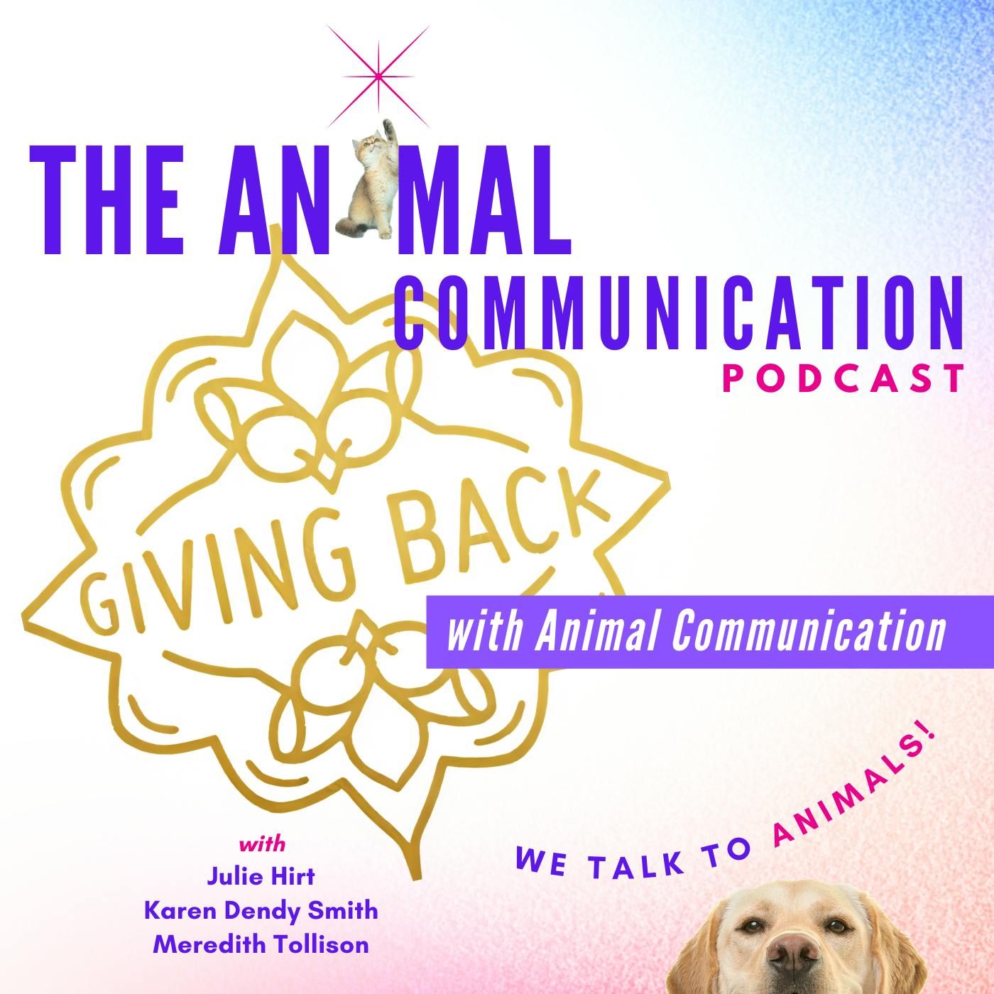 Giving Back with Animal Communication