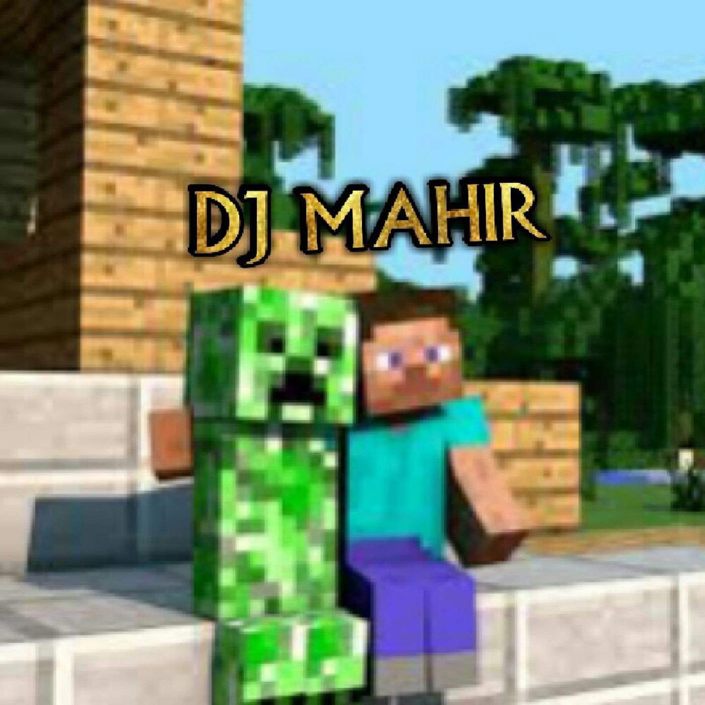 DJ BASS mega beat's show