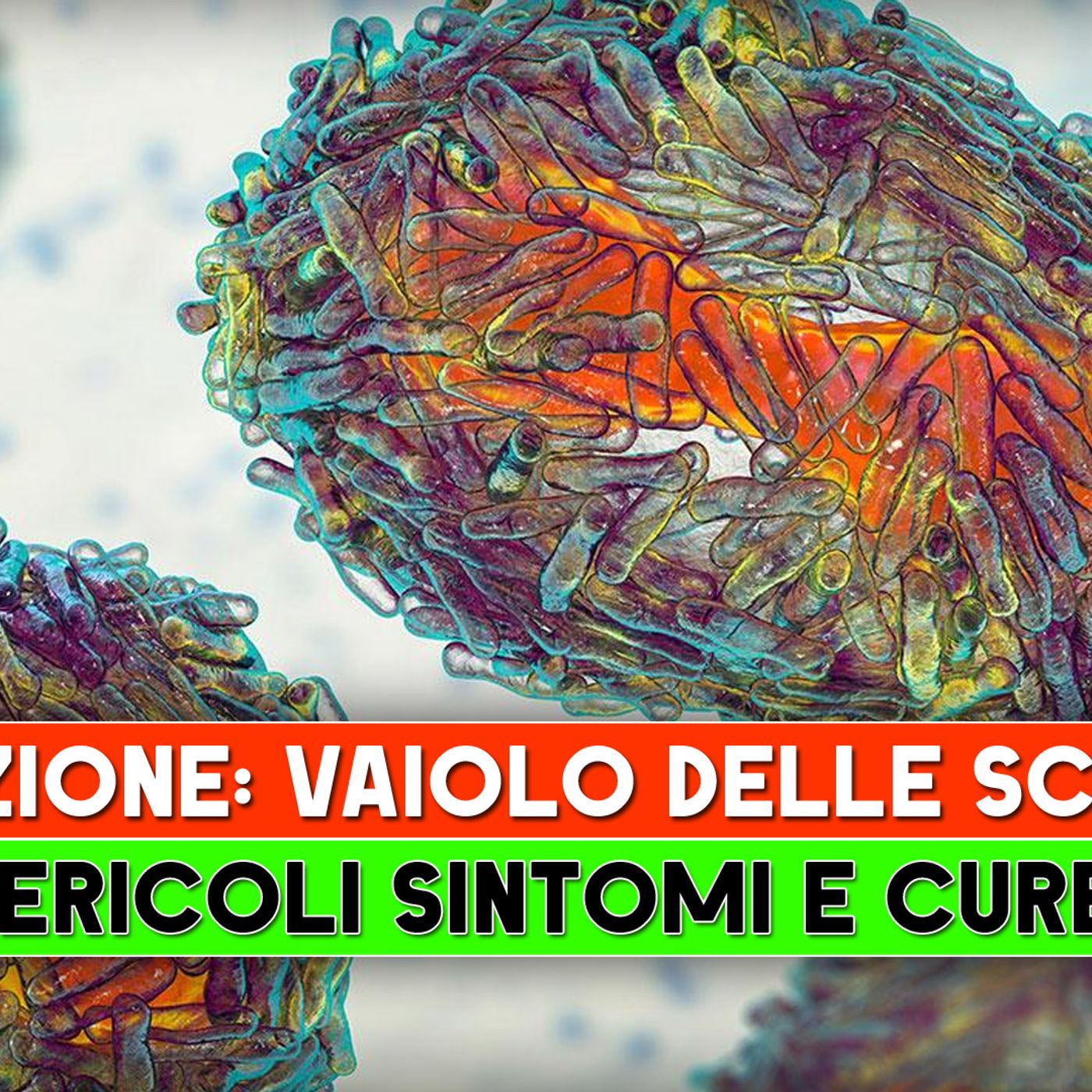 Il Vaiolo delle Scimmie: Pericoli, Sintomi e Cure! episode artwork
