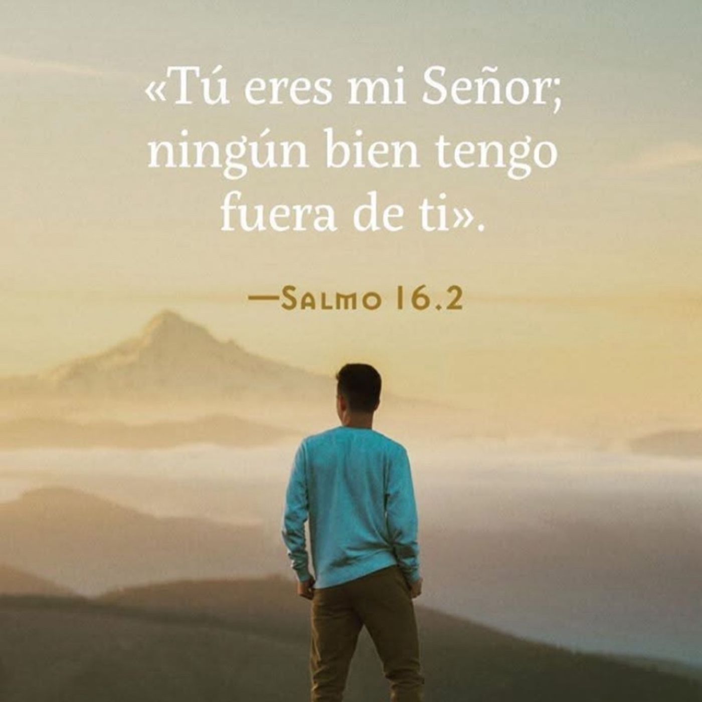 Su delicia