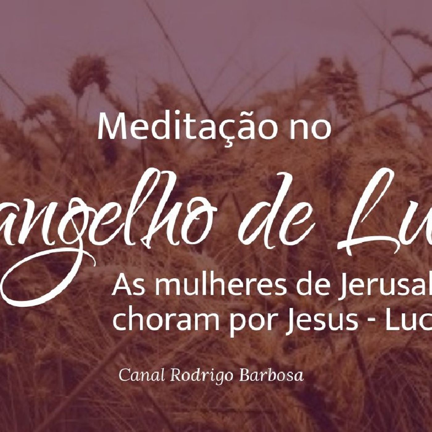 Rodrigo Barbosa