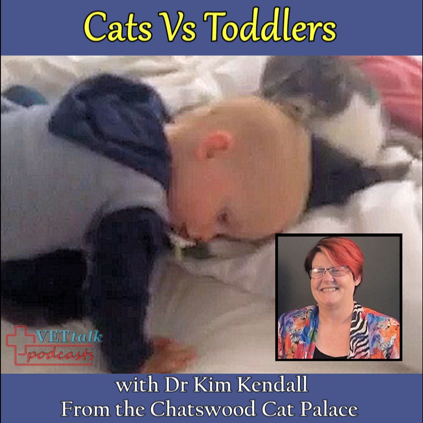 VET Talk Radio Podcasts