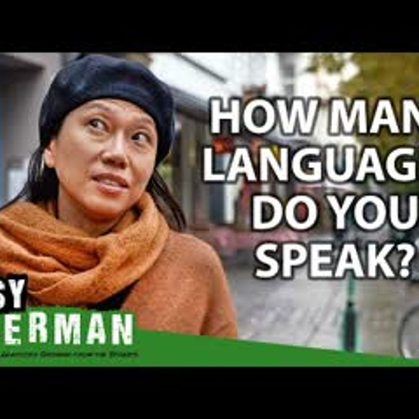 How Many Languages Do Germans Speak   Easy German 473