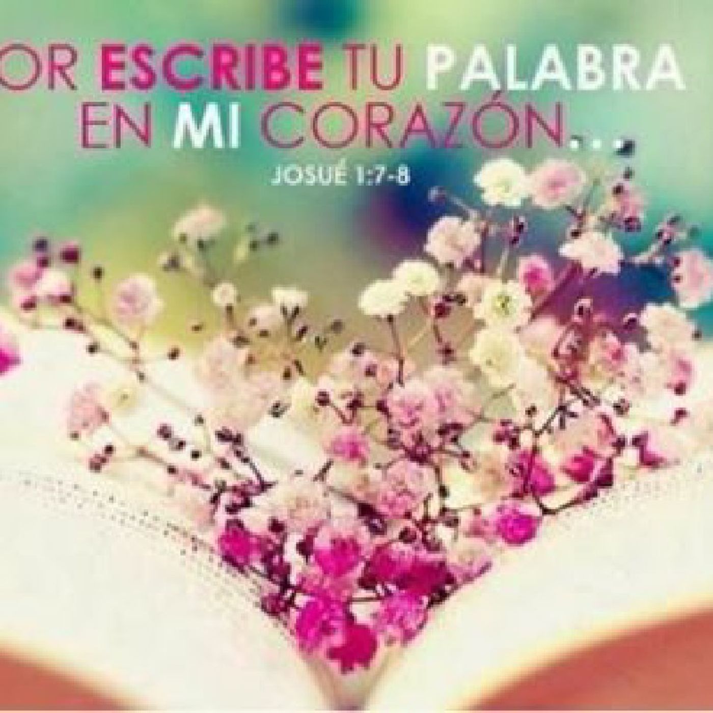 La Reflexión del Día "Tus palabras en mi corazón Señor" episode artwork