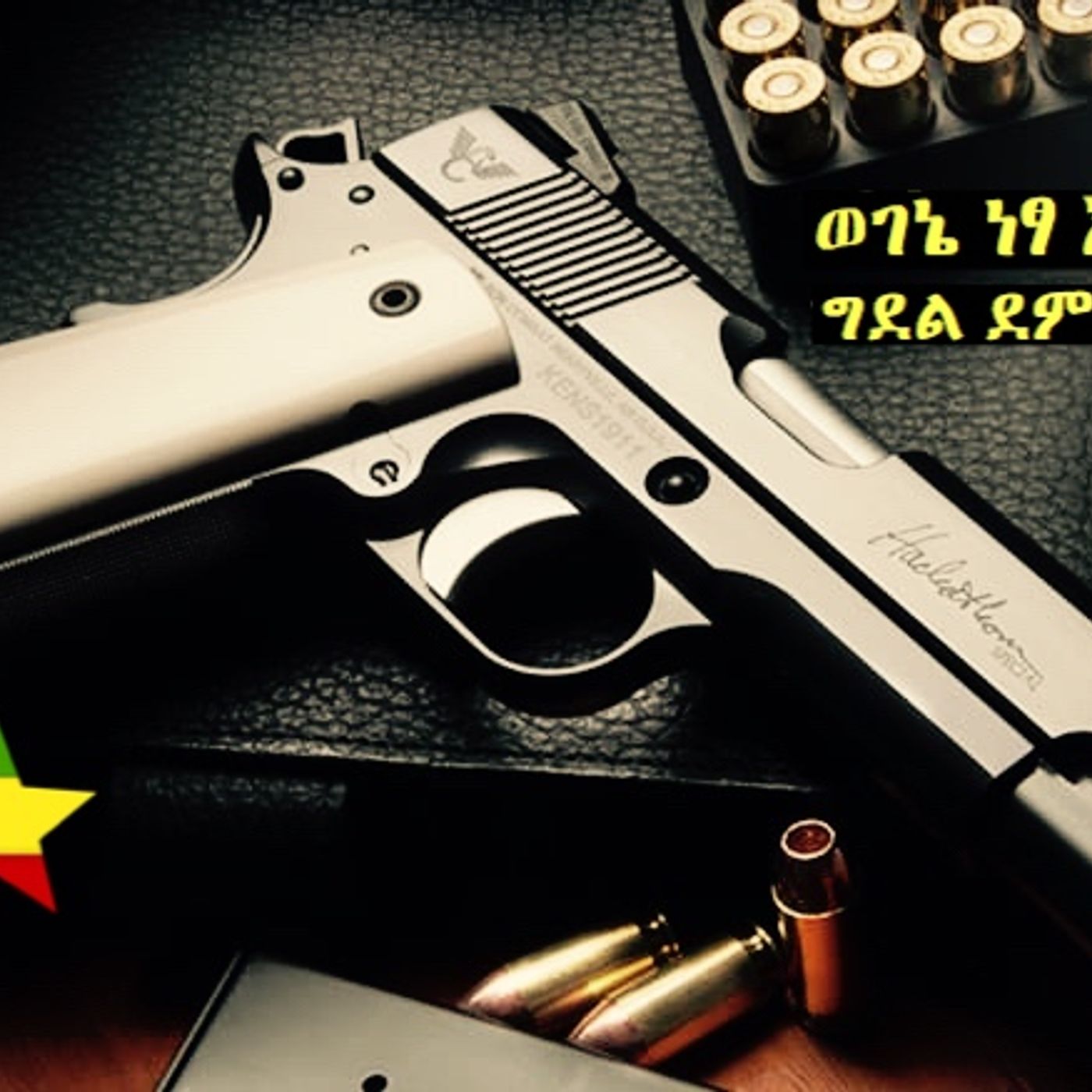 ወያኔም ደም አለው  ክፍል2 episode artwork
