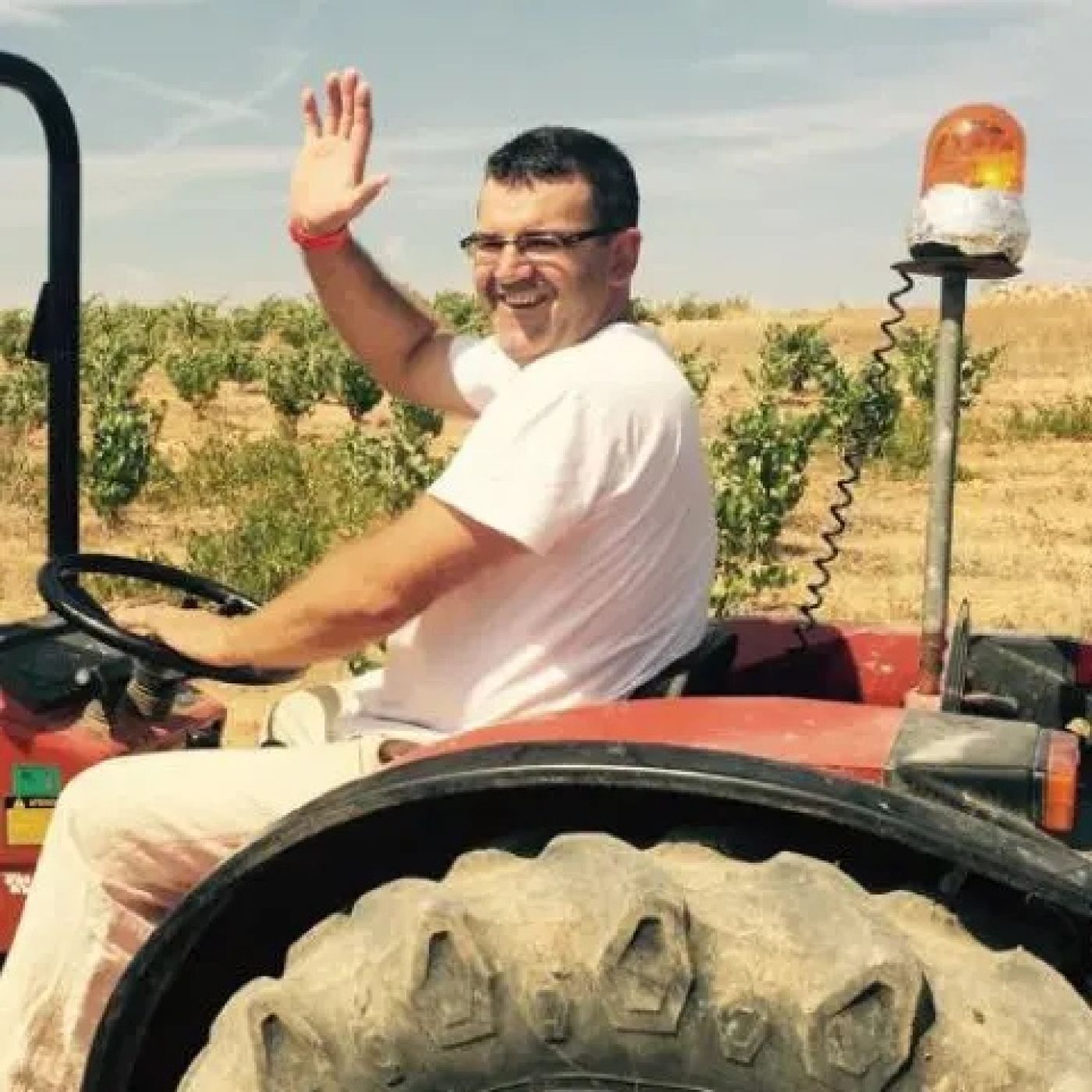 Vino al Natural