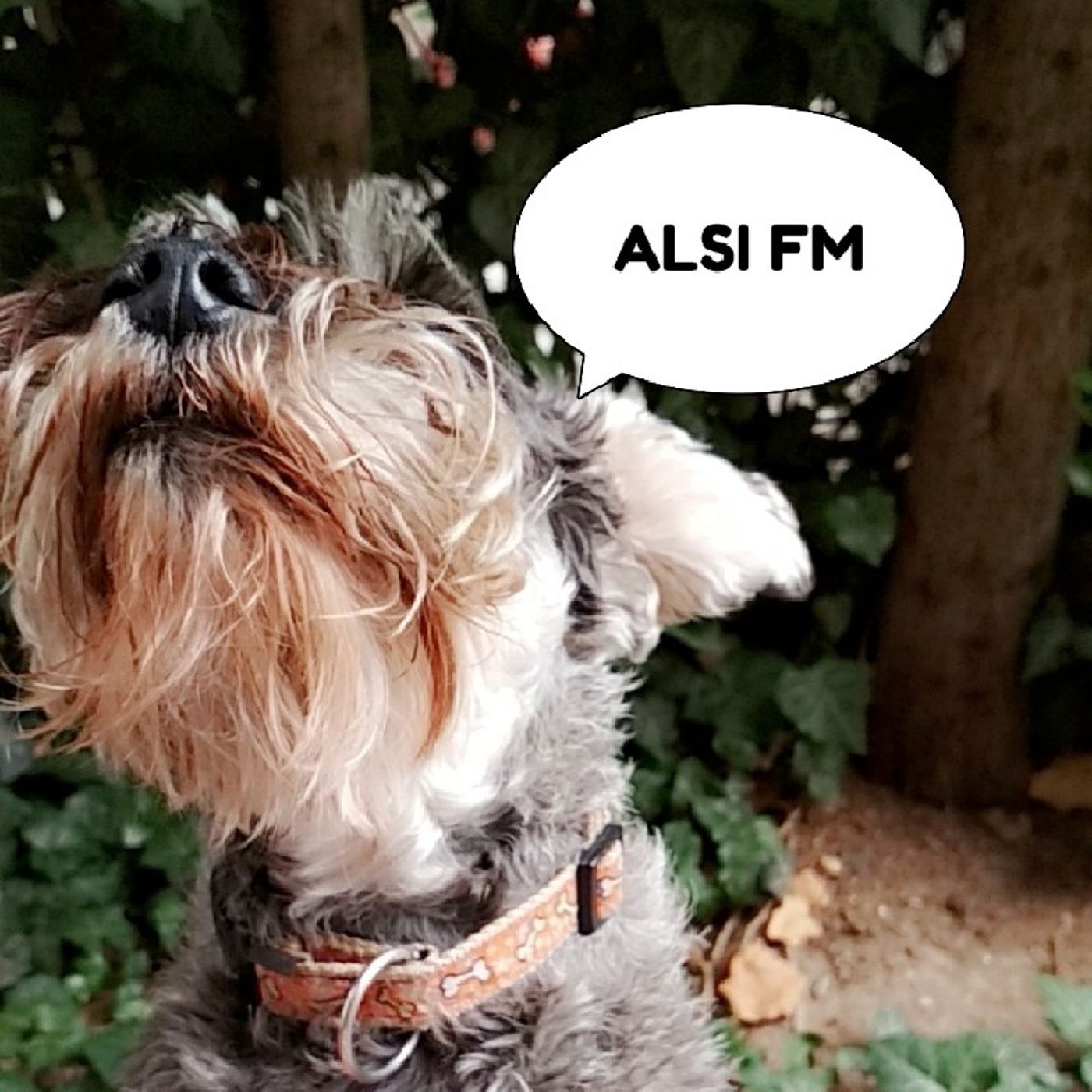 ALSI FM