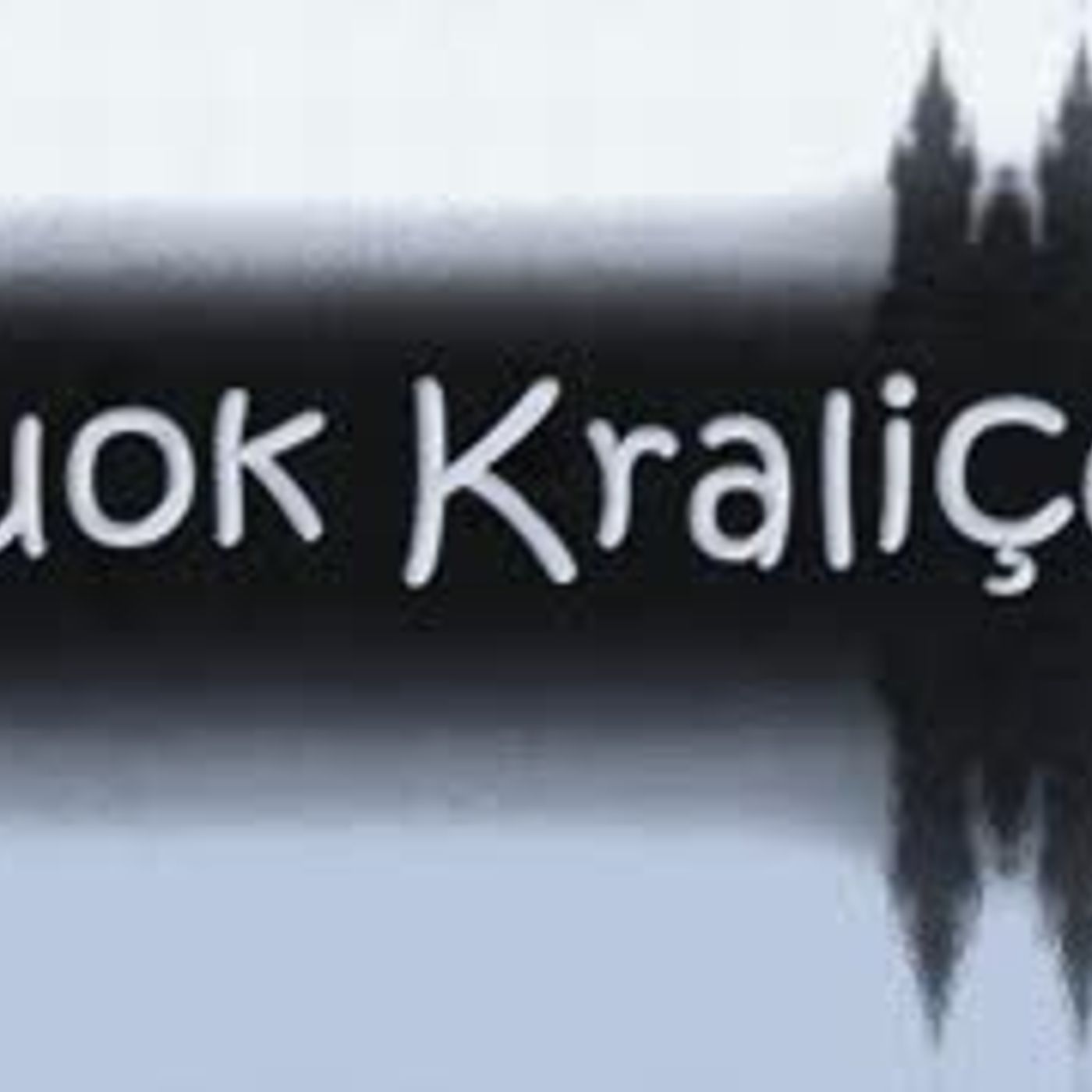 Kitap Okumaları