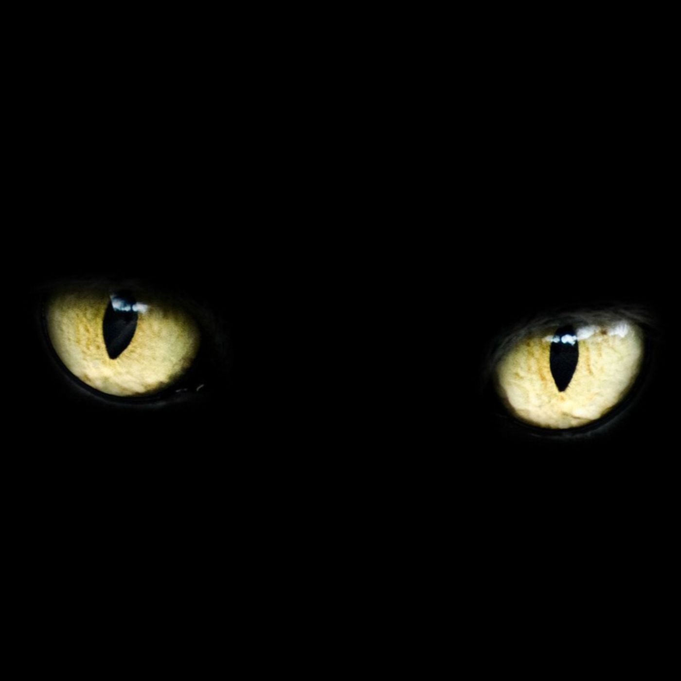 Cuentos y Relatos de Terror