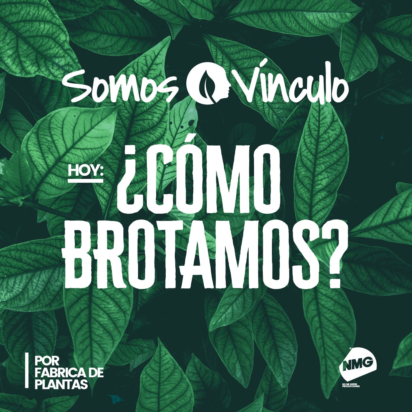 Somos vínculo