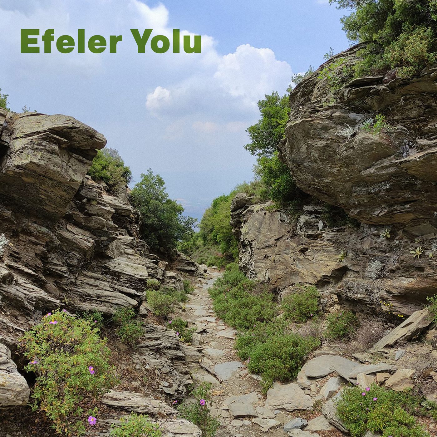 Doğa Sohbetleri