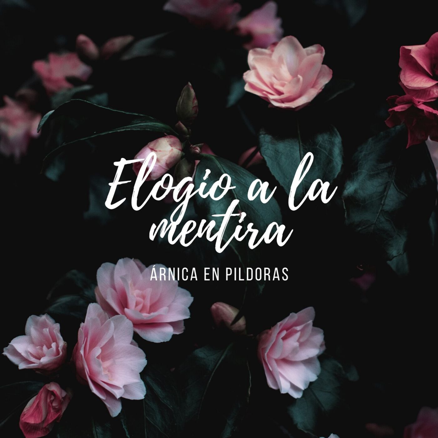 Portada de Cura esta herida que siento