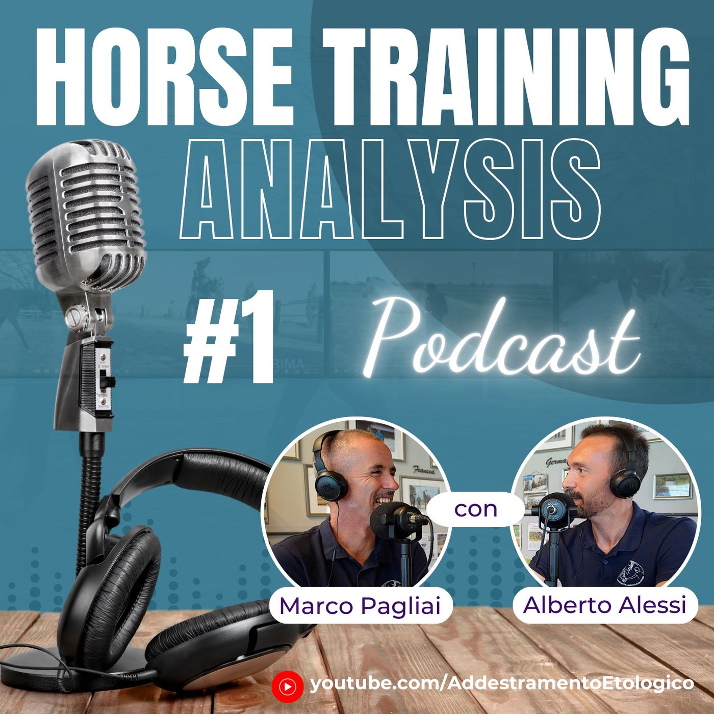 Horse Training Analysis