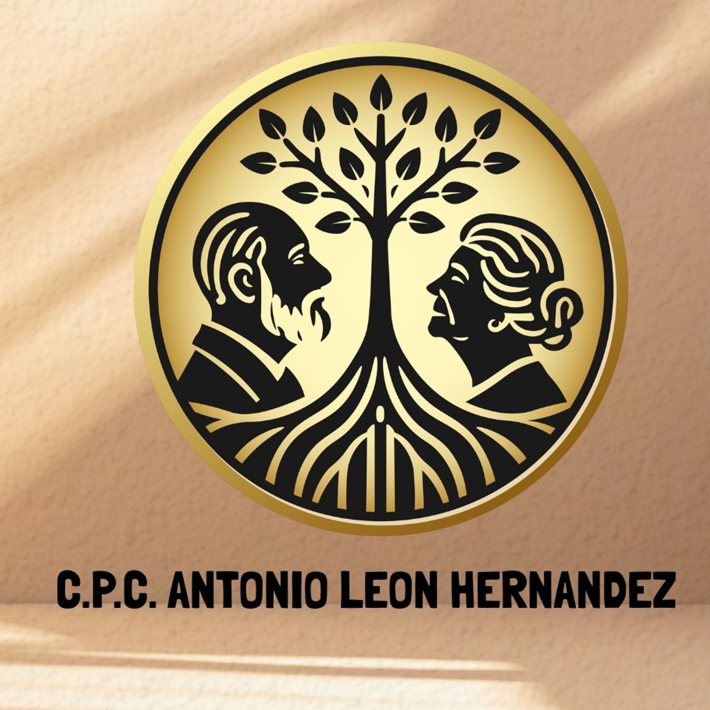 Pensiones de Oro IMSS