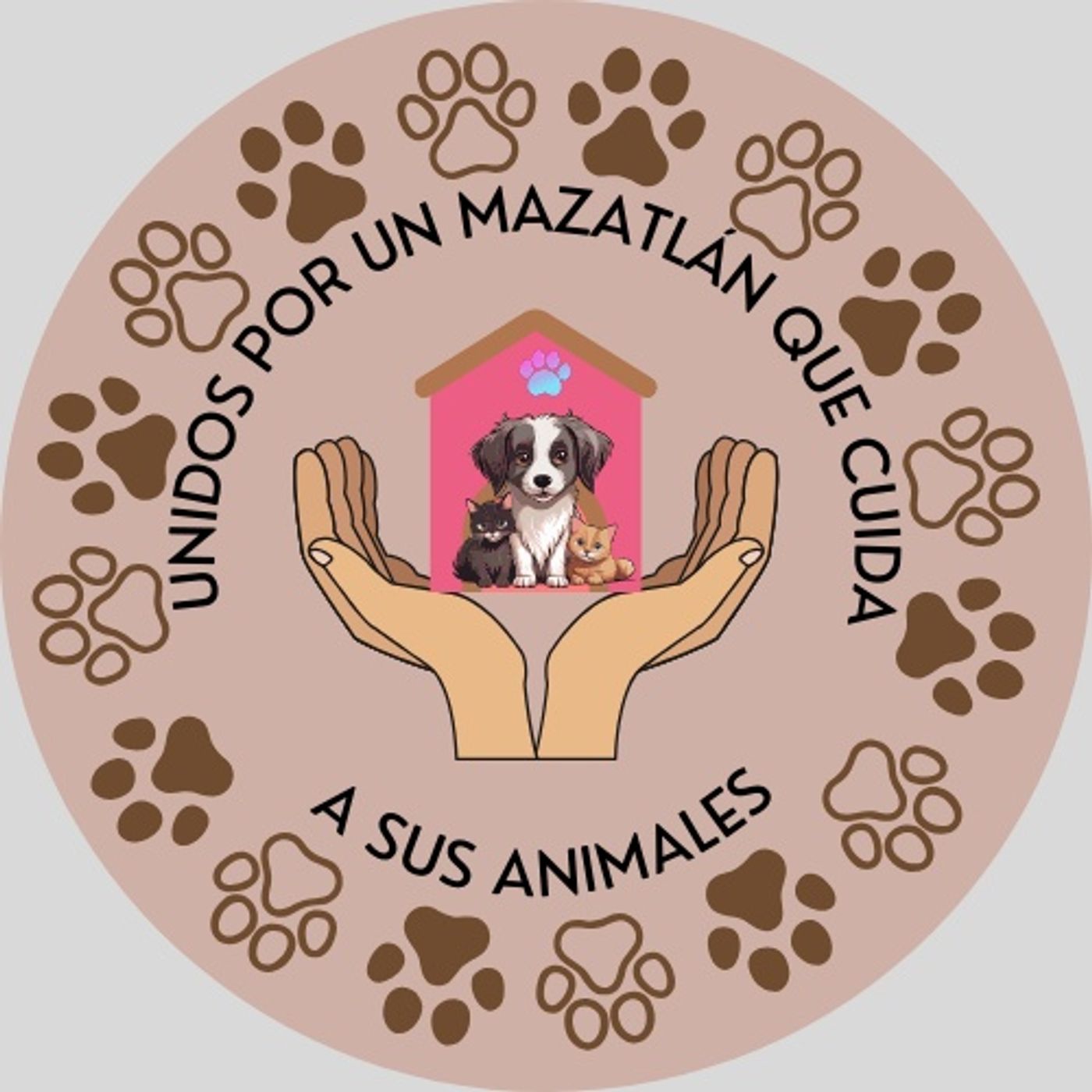 Unidos por un Mazatlán podcast artwork