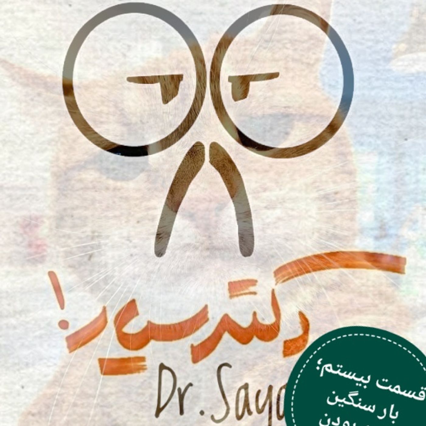 قسمت بیستم؛ بار سنگین گربه بودن