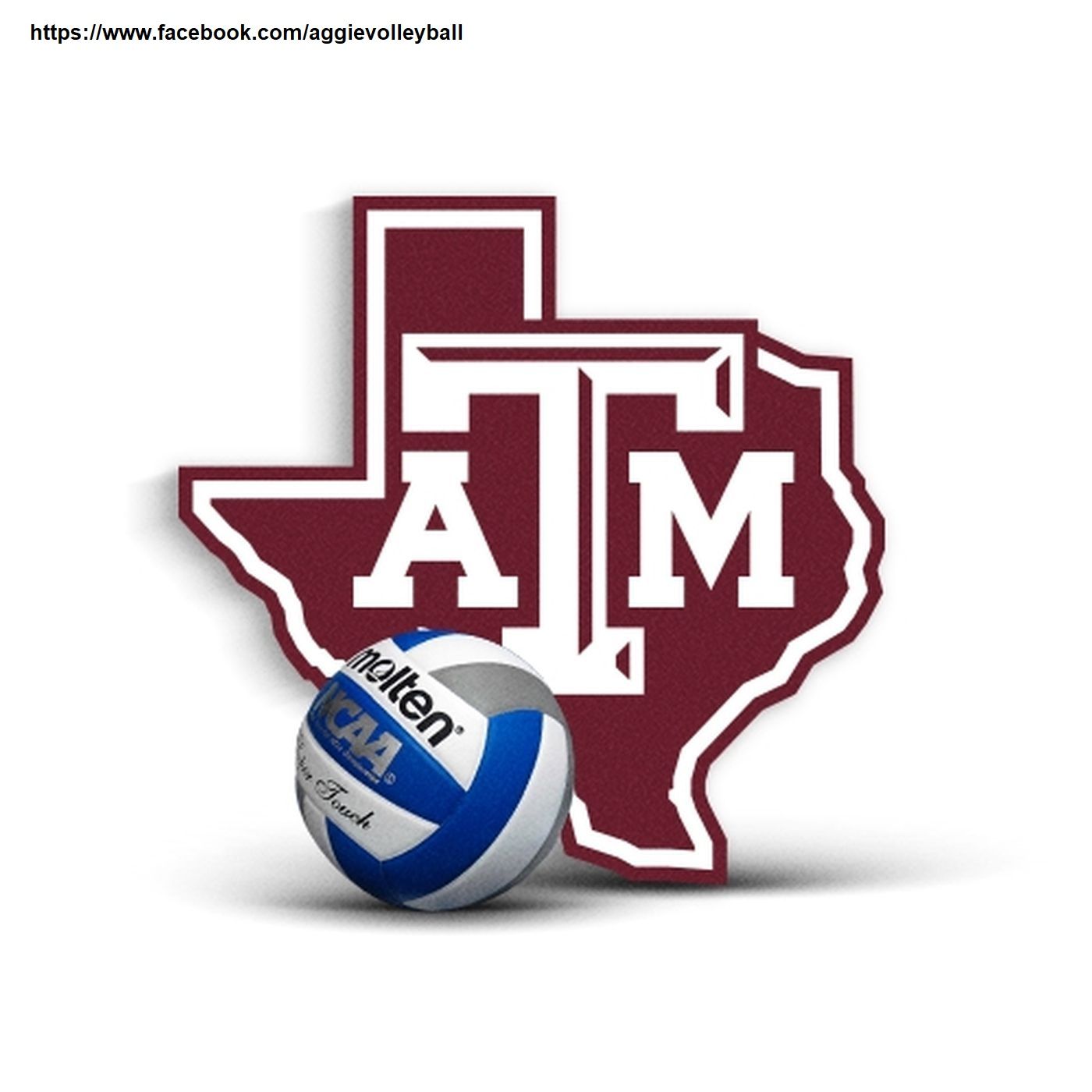 Bret Richards discusses historic run for Texas A&M Volleyball episode artwork