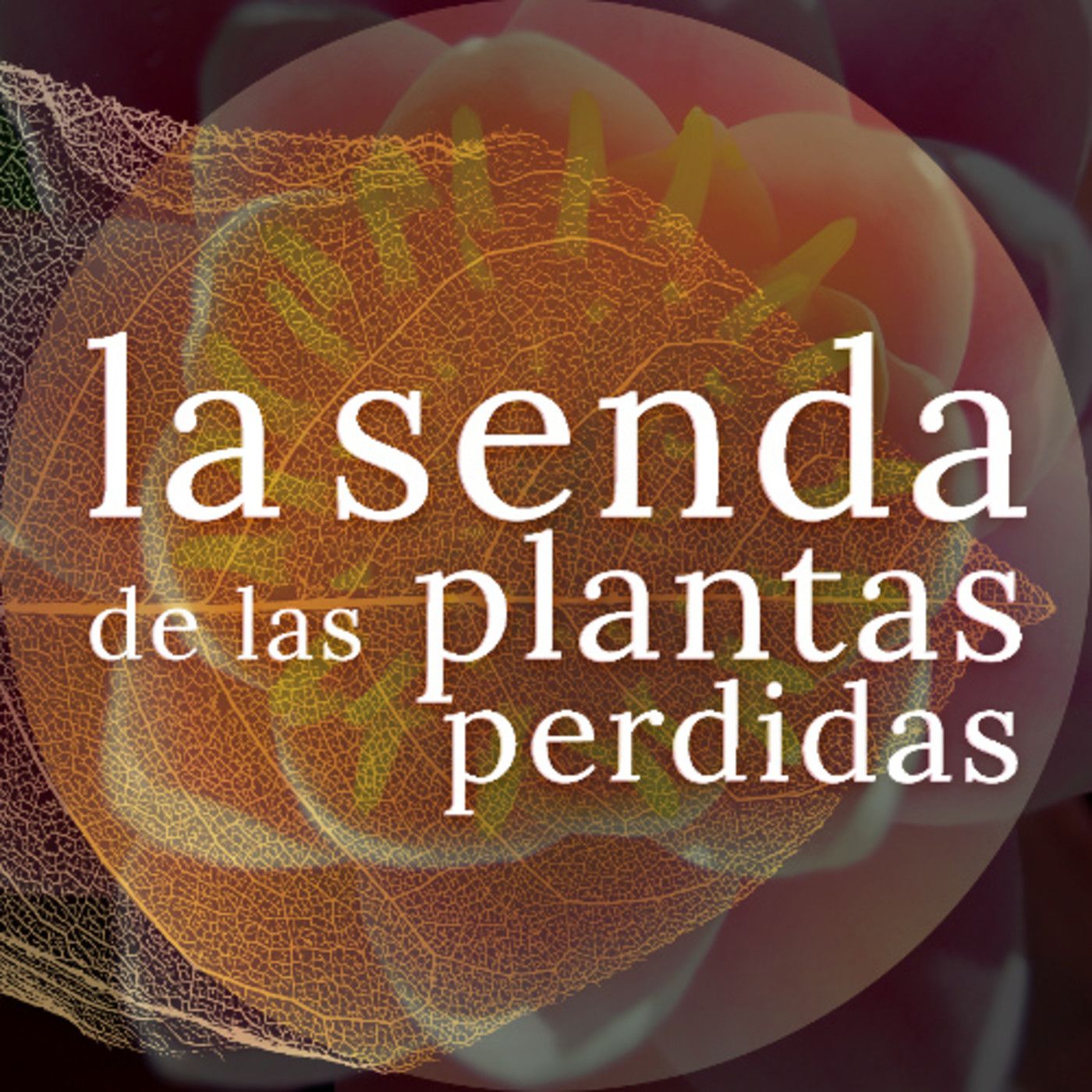 La Senda de las Plantas Perdidas