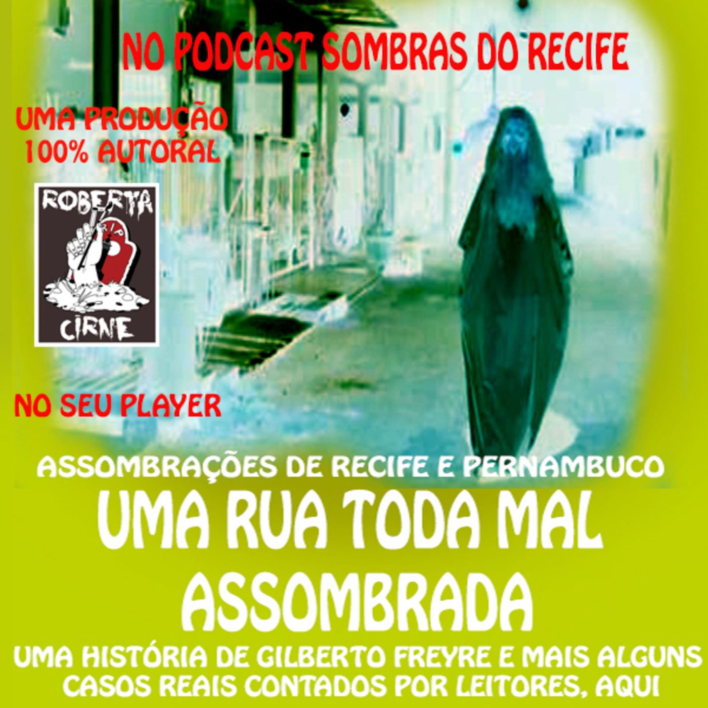 SOMBRAS DO RECIFE
