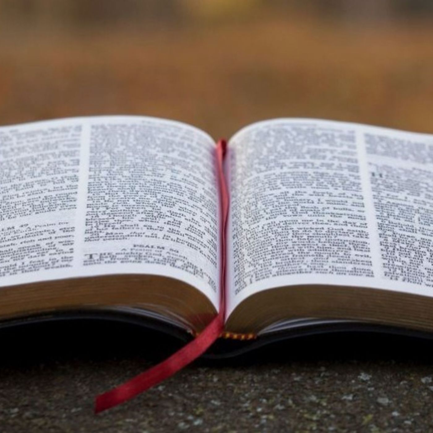 Leviticus chapter 5