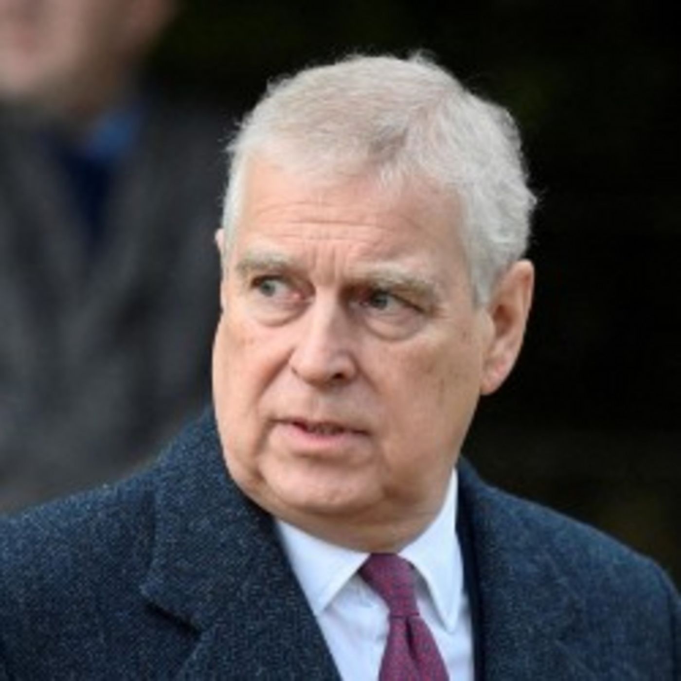 Jeffrey Epstein and the downfall of Prince Andrew episode artwork