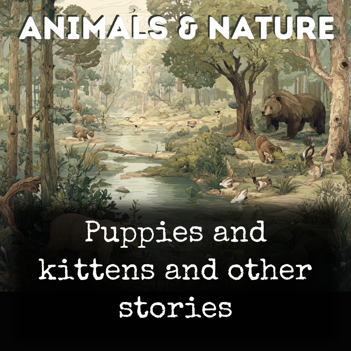 Puppies and kittens and other stories cover art