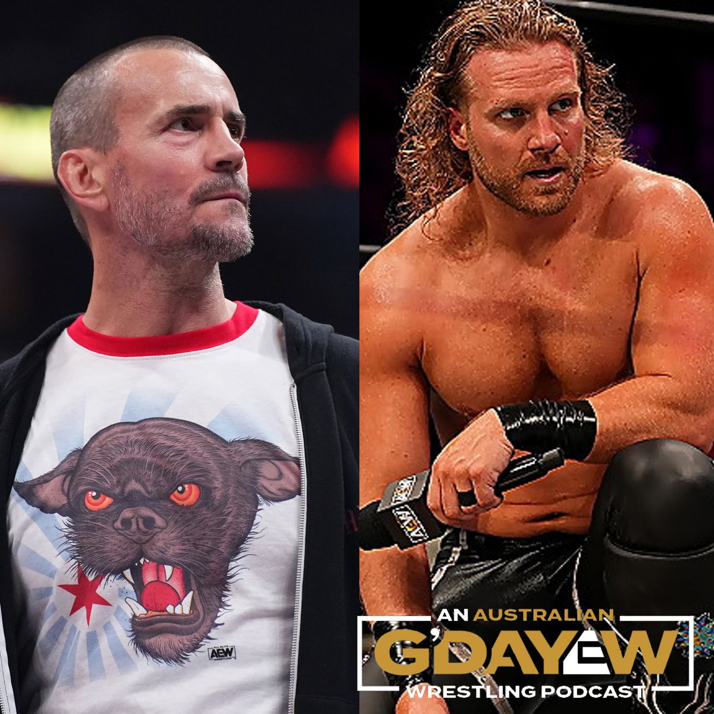 CM Punk vs Hangman Page, All In vs All Out & AEW vs themselves