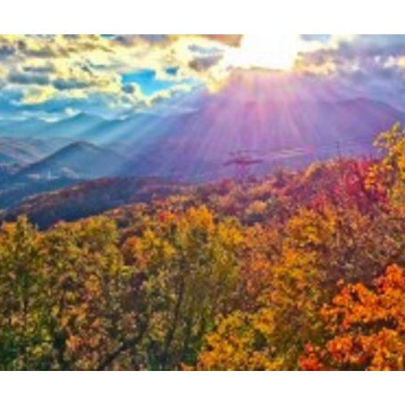 Survival Medicine Hour: Typhus in L.A., Barter Items, Lyme, Gout, More