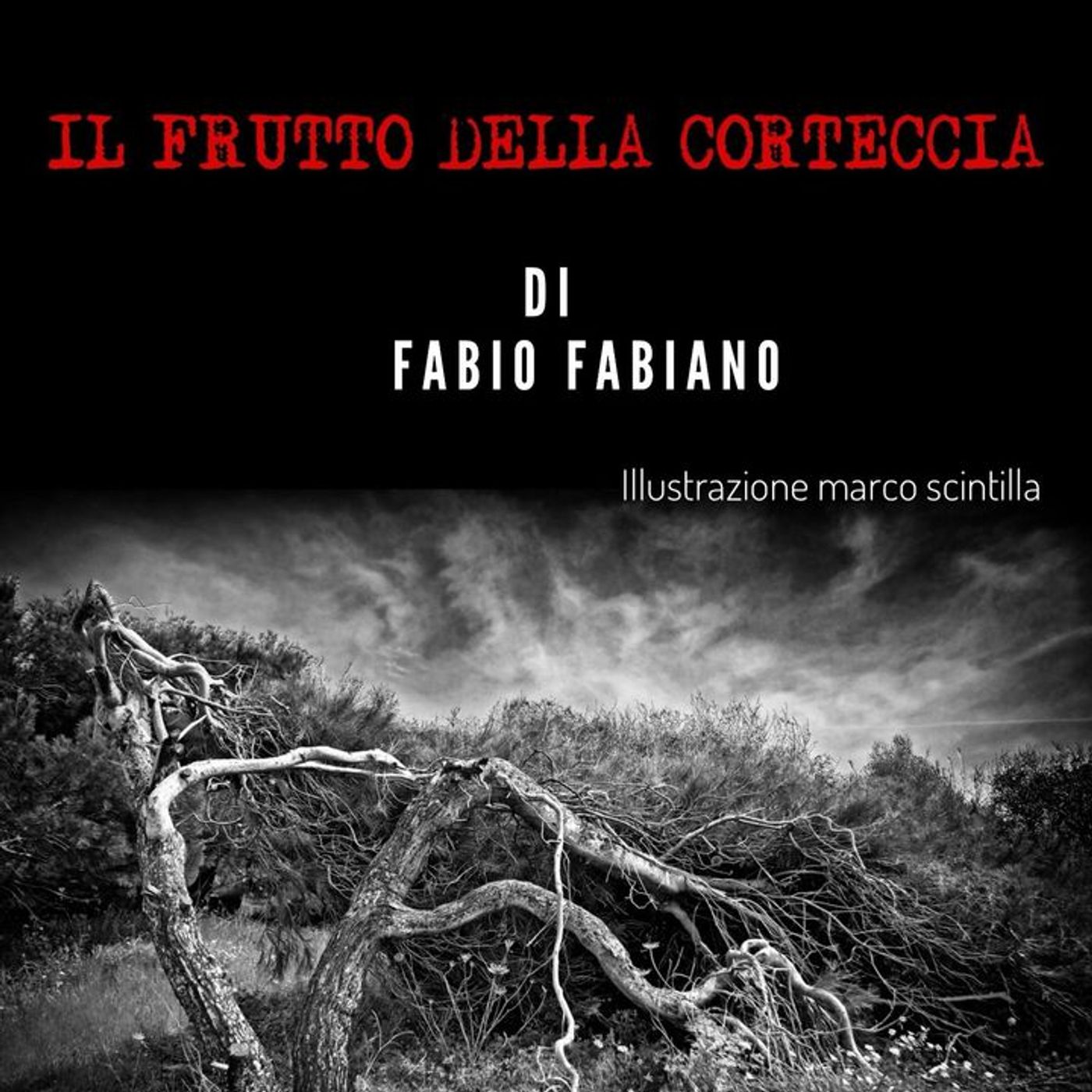 L\'ARCHIVIO DELL\'ISPETTORE DI FALCO