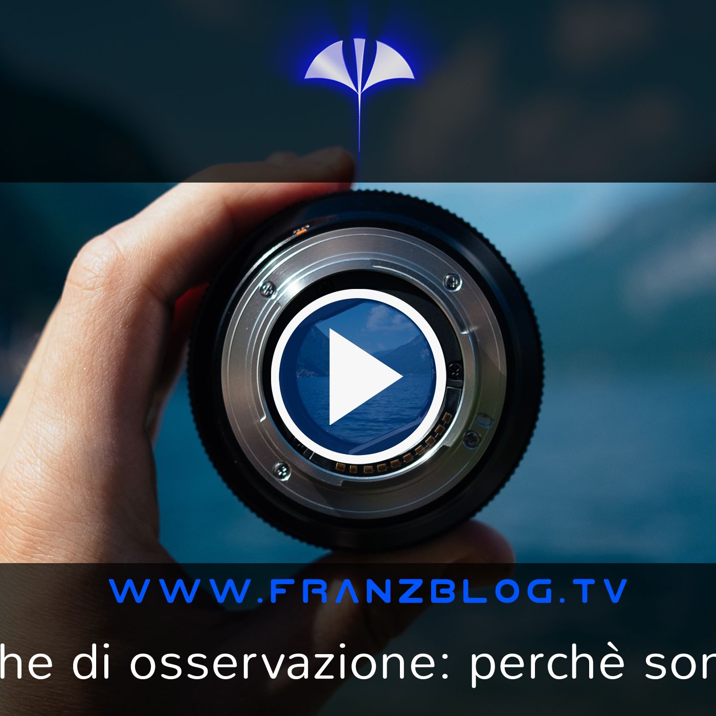 Franz\'s Blog
