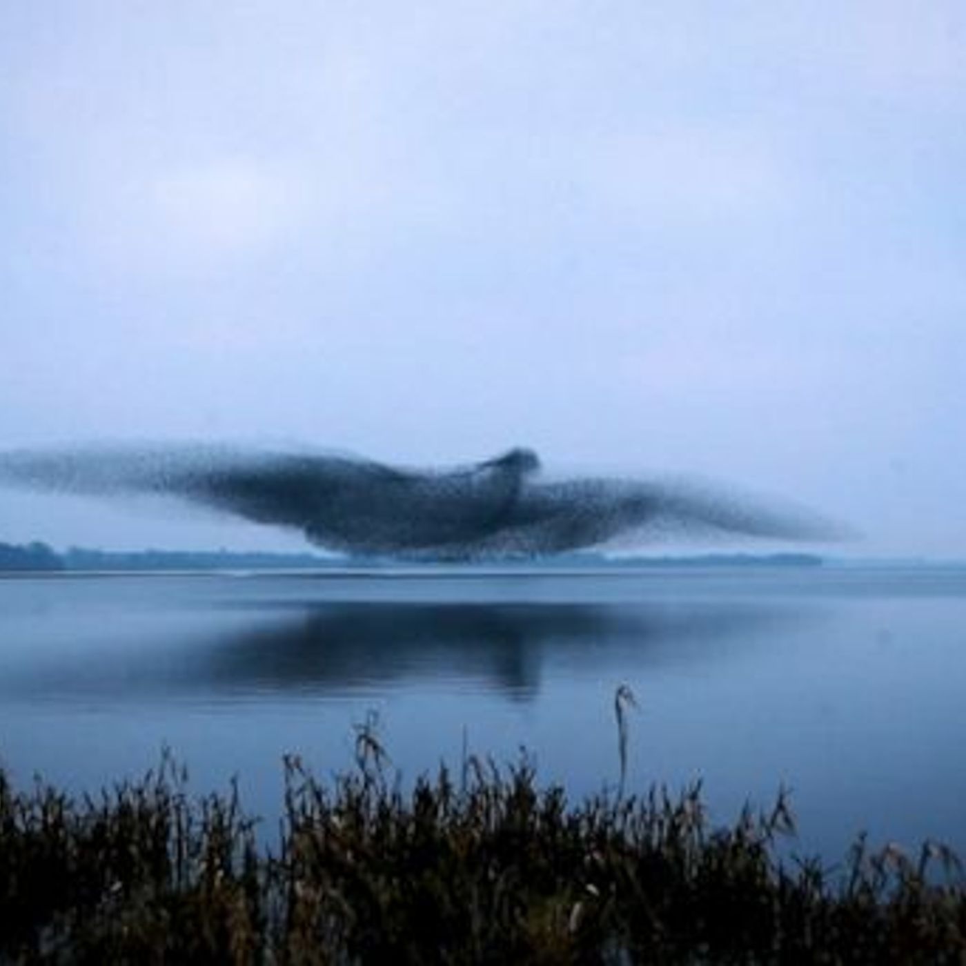356: More Unexplained